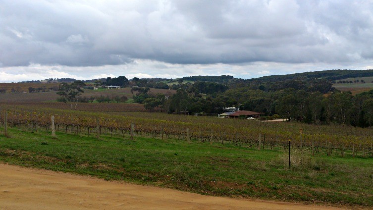 Barossa Fields